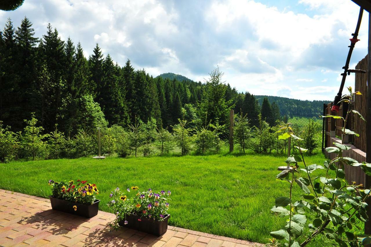 Apartment mit Gartenblick